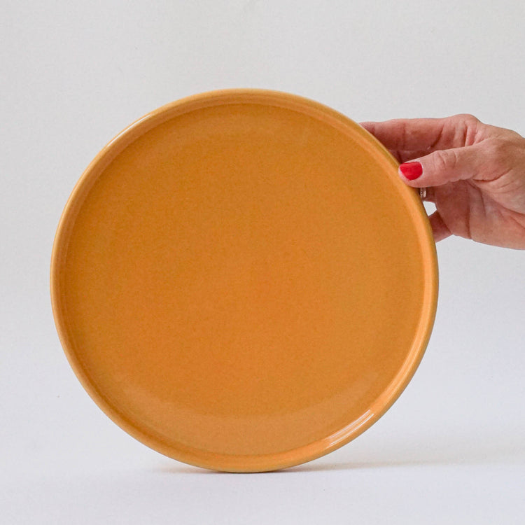 Teller (Deckel) 22cm