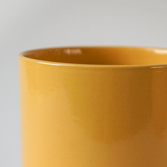 late summer yellow